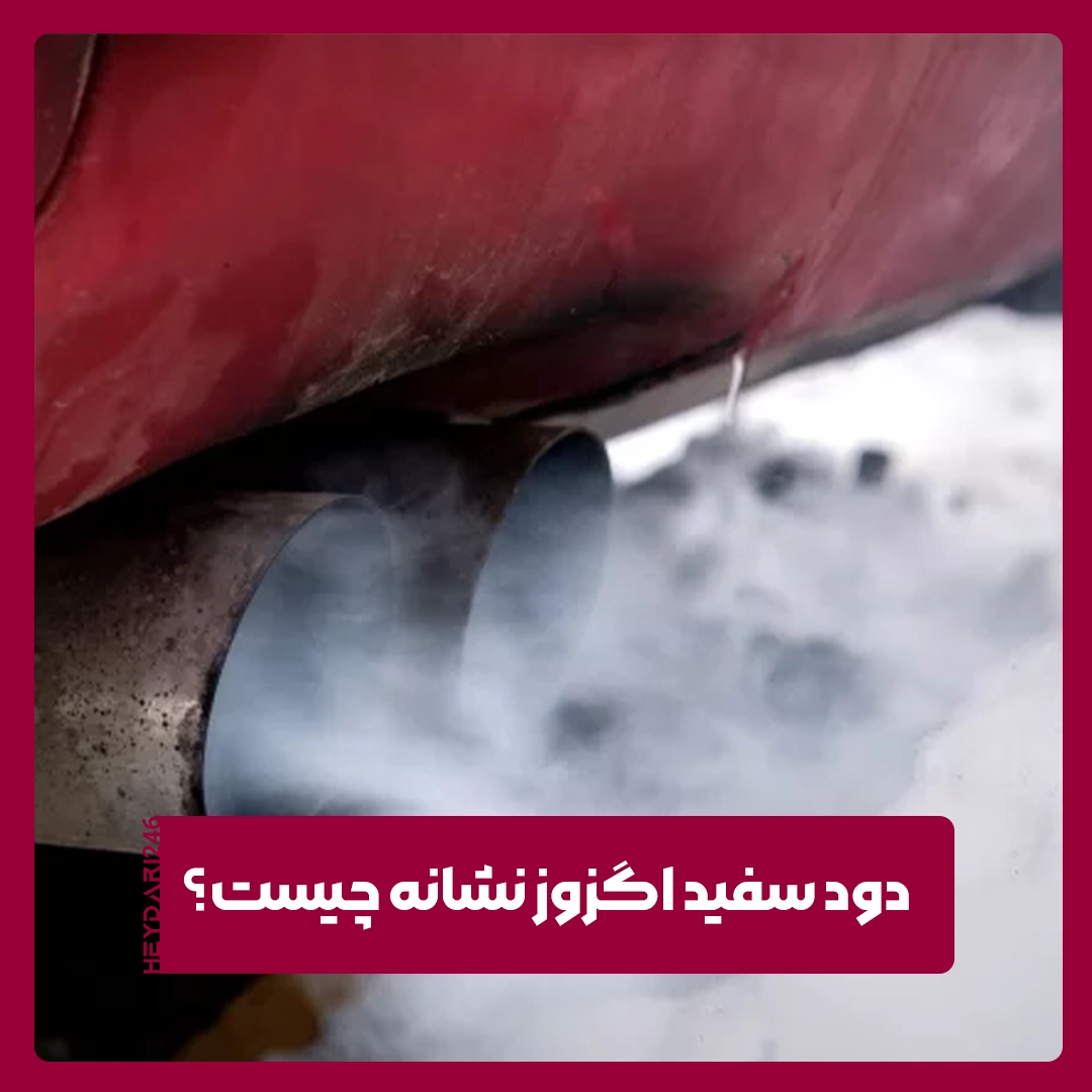 دود سفید اگزوز