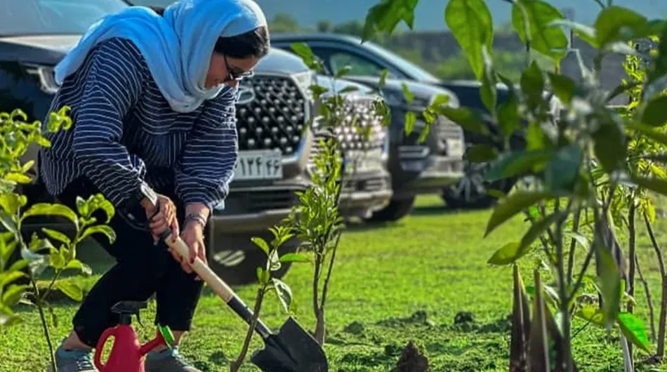 فونیکس
