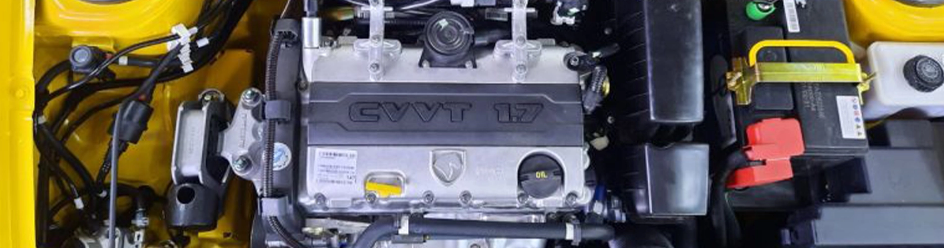 EF7P