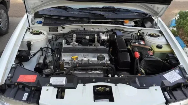 EF7P